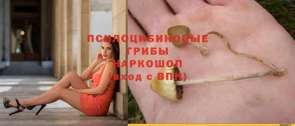 круглые Абаза