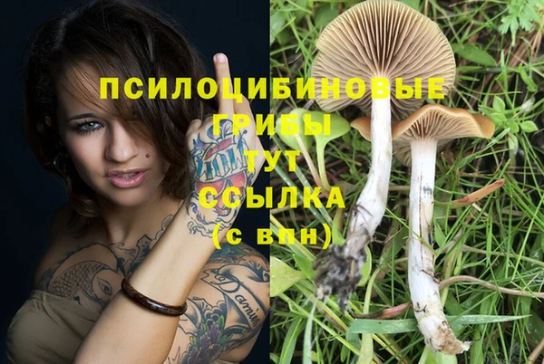 индика Алзамай