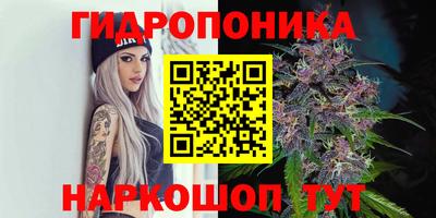 mdpv Гудермес