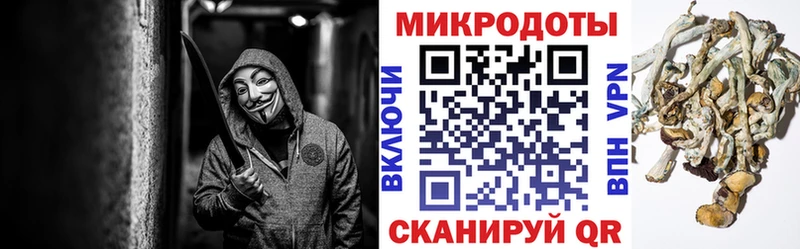 Галлюциногенные грибы прущие грибы  Мегион 
