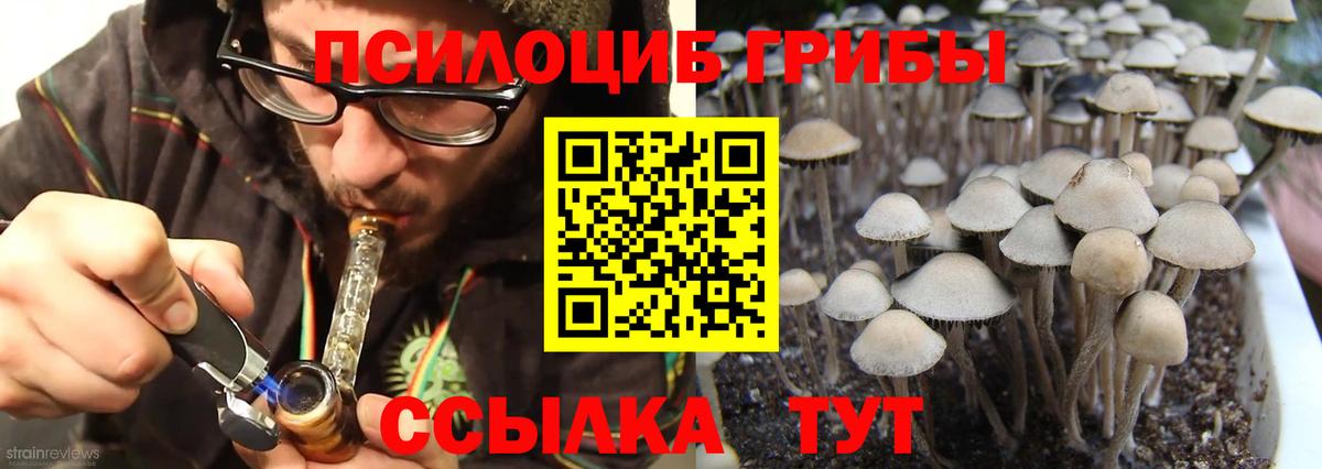 Мегион  Галлюциногенные грибы Magic Shrooms  Вход с VPN 